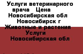 Услуги ветеринарного врача › Цена ­ 500 - Новосибирская обл., Новосибирск г. Животные и растения » Услуги   . Новосибирская обл.